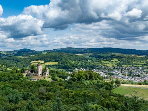 FDP Kreisverband Vulkaneifel